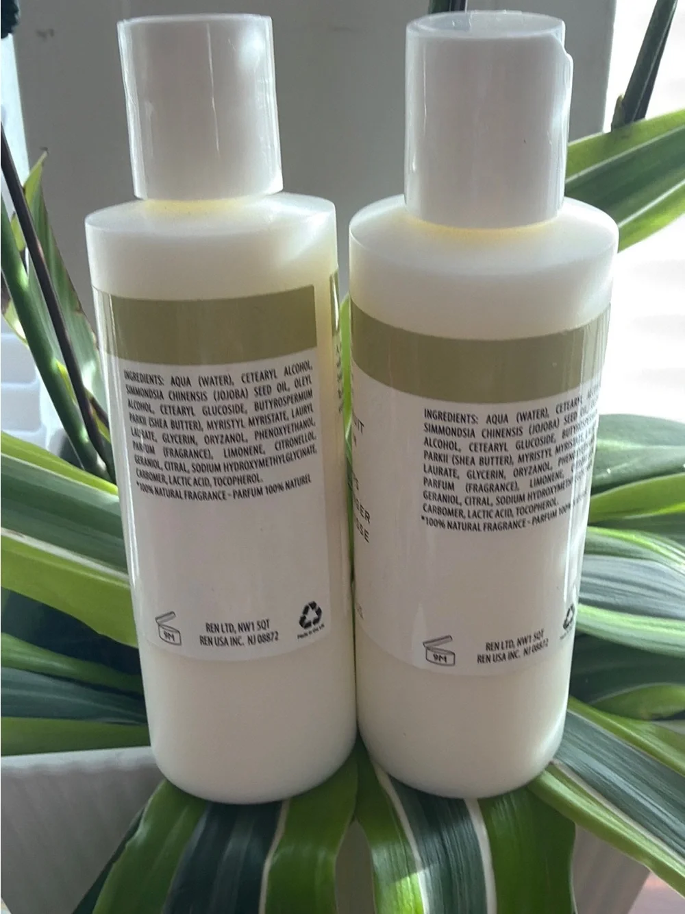 Neroli & Grapefruit Body Cream - White
